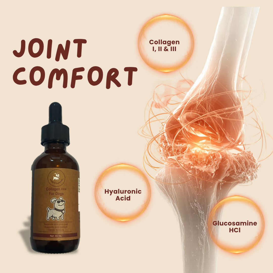 Liquid Collagen for Dogs 60mL | Joint, Skin & Coat | Smarty Supplies