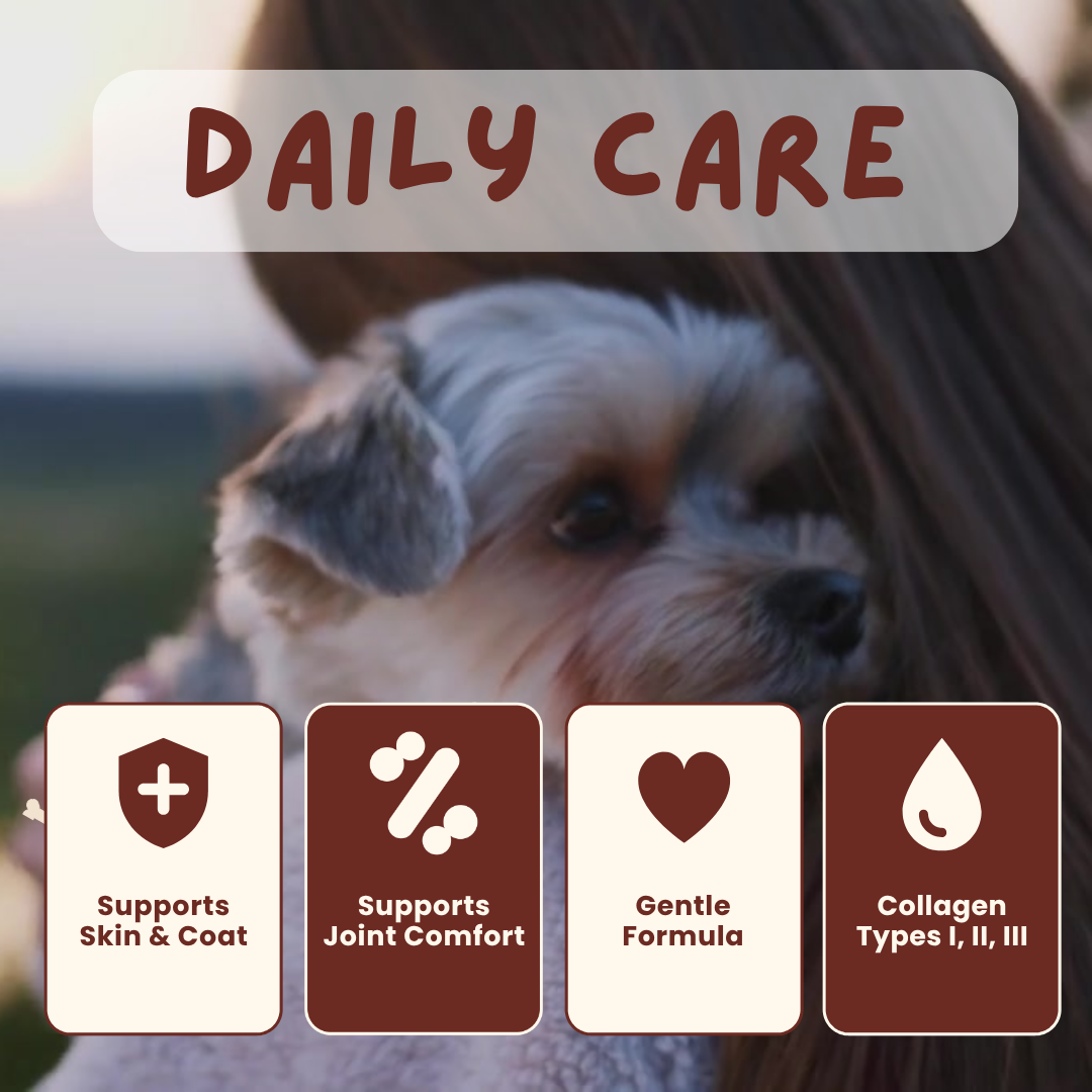 Liquid Collagen for Dogs 60mL | Joint, Skin & Coat | Smarty Supplies