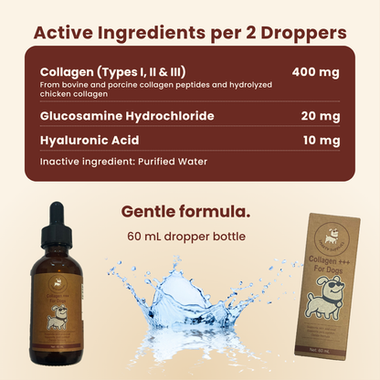 Liquid Collagen for Dogs 60mL | Joint, Skin & Coat | Smarty Supplies