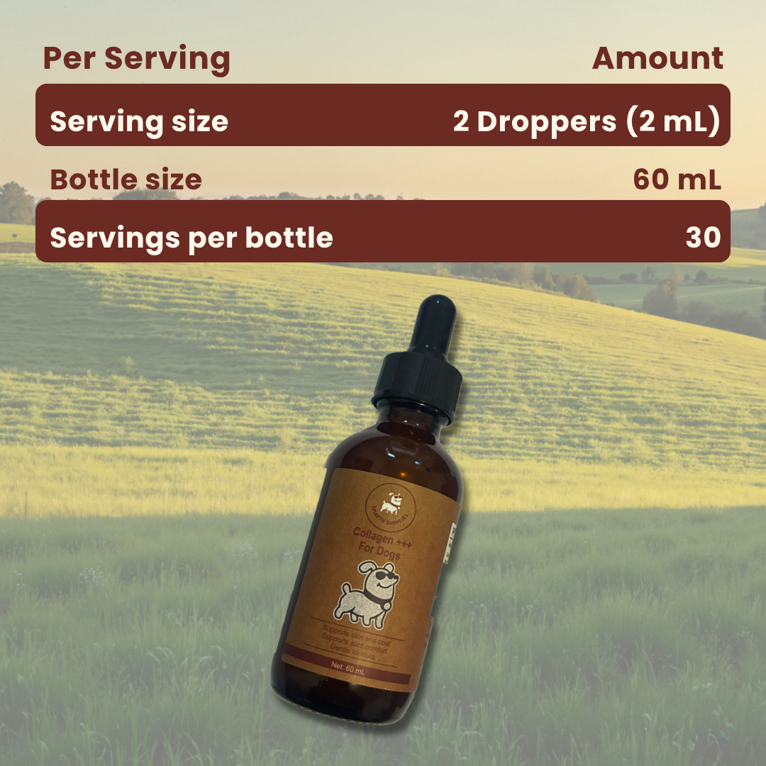 Liquid Collagen for Dogs 60mL | Joint, Skin & Coat | Smarty Supplies