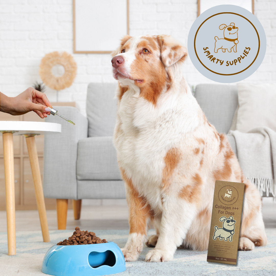 Liquid Collagen for Dogs 60mL | Joint, Skin & Coat | Smarty Supplies
