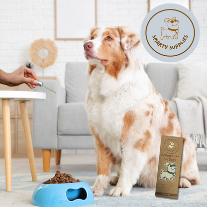 Liquid Collagen for Dogs 60mL | Joint, Skin & Coat | Smarty Supplies