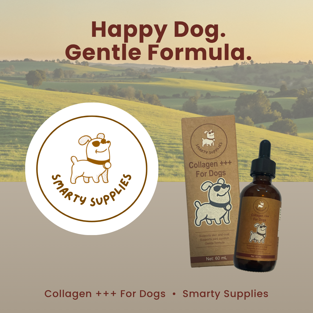 Liquid Collagen for Dogs 60mL | Joint, Skin & Coat | Smarty Supplies